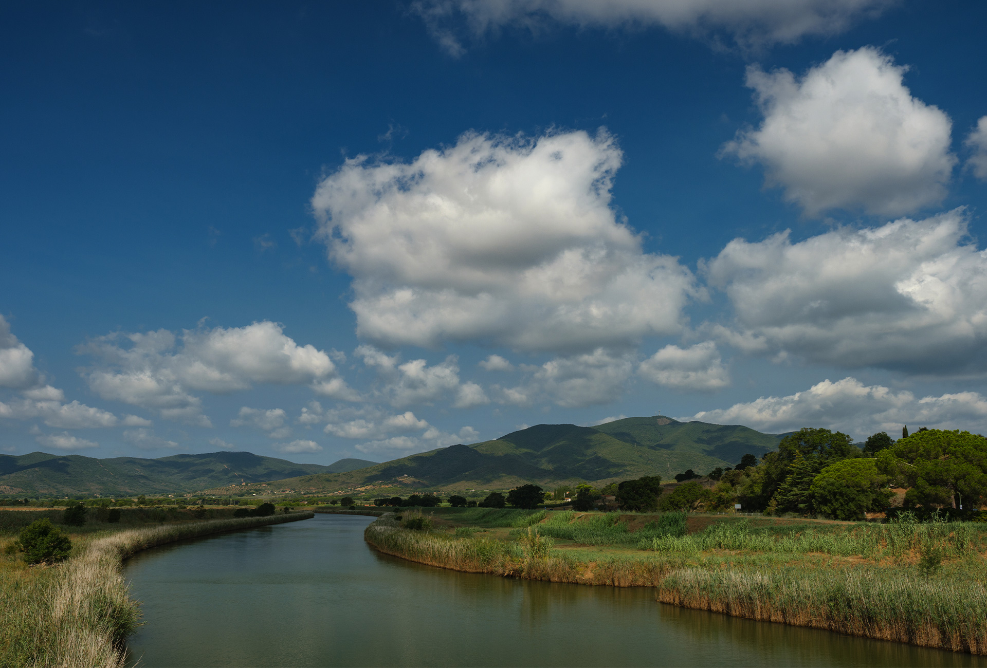 Diaccia Bodrona Nature Reserve